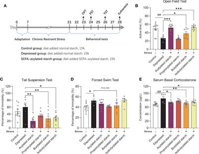 Consumption of Butylated Starch Alleviates the Chronic Restraint Stress-Induced Neurobehavioral and Gut Barrier Deficits Through Reshaping the Gut Microbiota